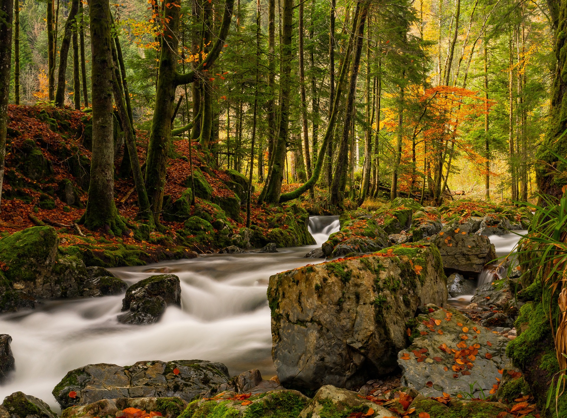 LES VOSGES: Nature, Artisanat et Traditions