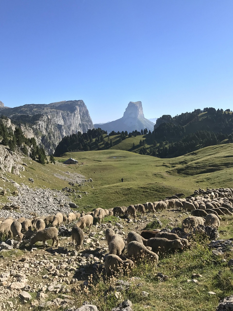 LE VERCORS GRANDEUR NATURE